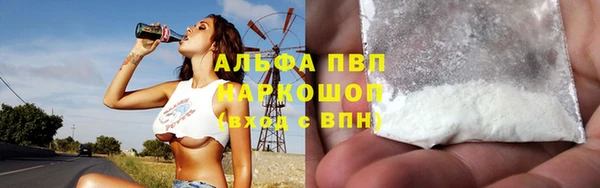 ECSTASY Белокуриха