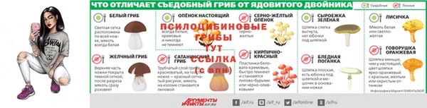 ECSTASY Белокуриха