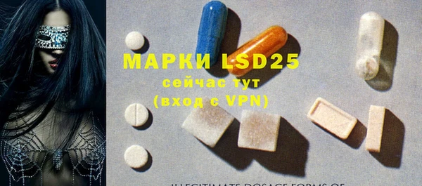 ECSTASY Белокуриха