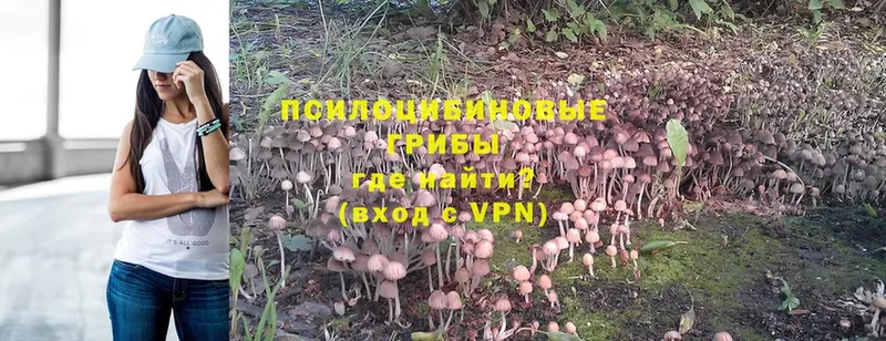 Галлюциногенные грибы Magic Shrooms  кракен сайт  Беслан  даркнет сайт 