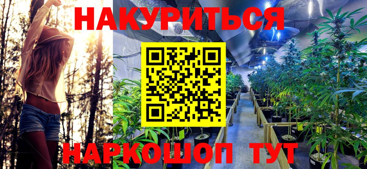 Каннабис Ganja  Вход с VPN  Марихуана тримм  Беслан  Бошки Шишки индика 